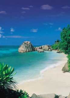 Paradise Cove