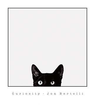 Curiosity Cat