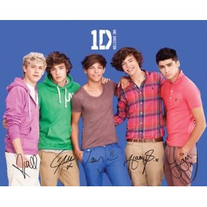 One Direction (small)