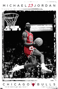 Michael Jordan  nba