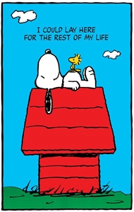 Snoopy & Woodstock peanuts