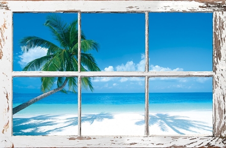 Window on the Tropics 