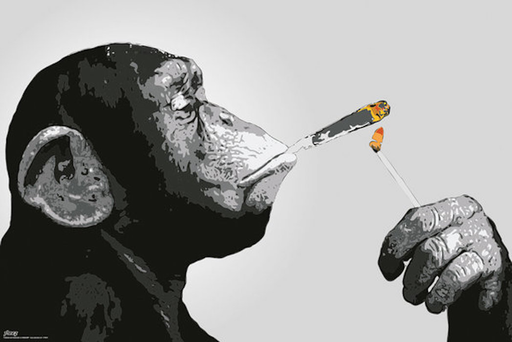 Steez Monkey Spliff #51365b