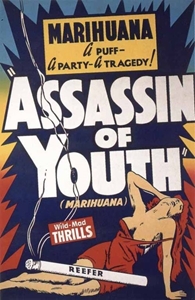 Assassin of Youth Fabric Poster Flag   