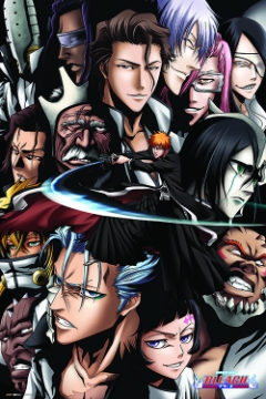 Bleach 