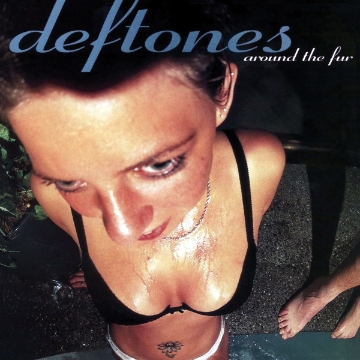 Deftones (12x12)