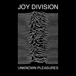 Joy Division 12x12"   