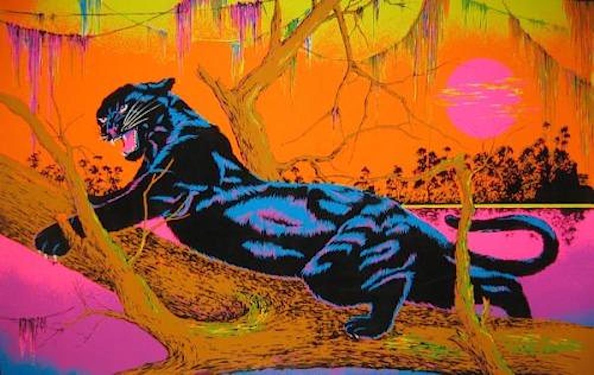 Jungle Cat Blacklight   wpbl