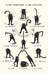 Le Chat 