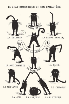 Le Chat 