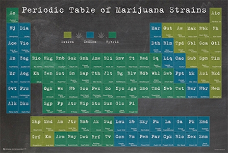 Periodic Table of Marijuana Strains weed, pot, reefer, marijuana, cannabis