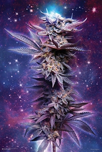 Spaced Out weed, pot, reefer, marijuana cannabis