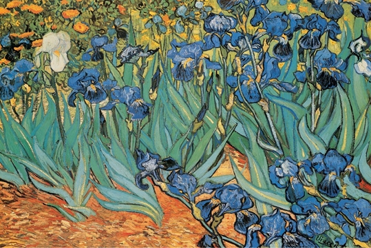 Van Gogh Garden of Irises 