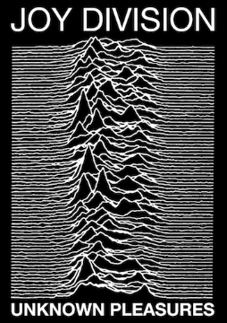 Joy Division 