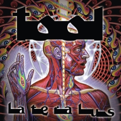 Tool (12x12) 