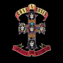 Guns N Roses (12x12) 