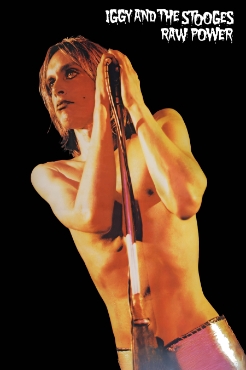 Iggy And The Stooges 