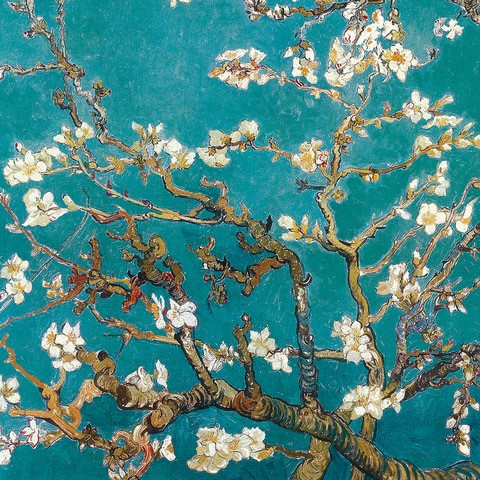 Van Gogh Almond Blossom (12x12) 