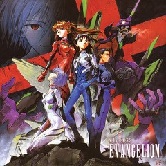 Neon Genesis Evangelion (12x12) 