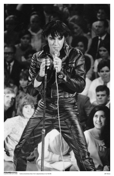 Elvis Presley (11x17)