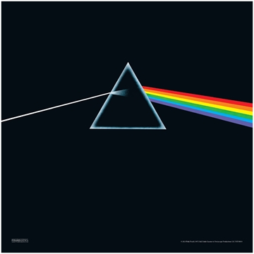 Pink Floyd (12x12) 