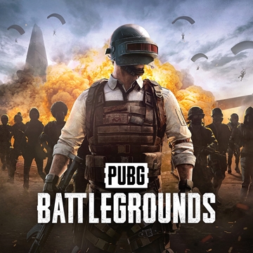 PUBG Battlegrounds (12x12) 